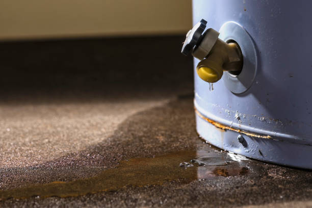 Reliable WA Water damage restoration Solutions