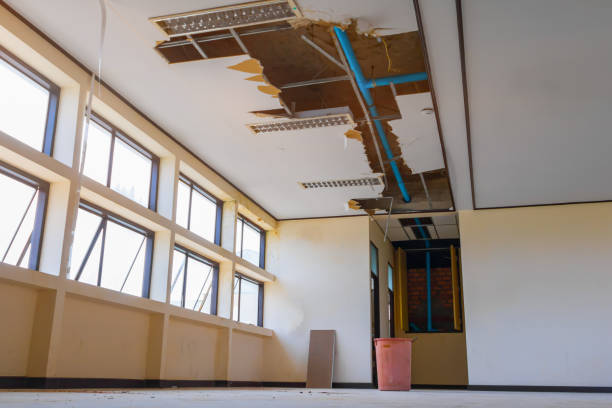 Best Water damage restoration near me  in Vaughn, WA