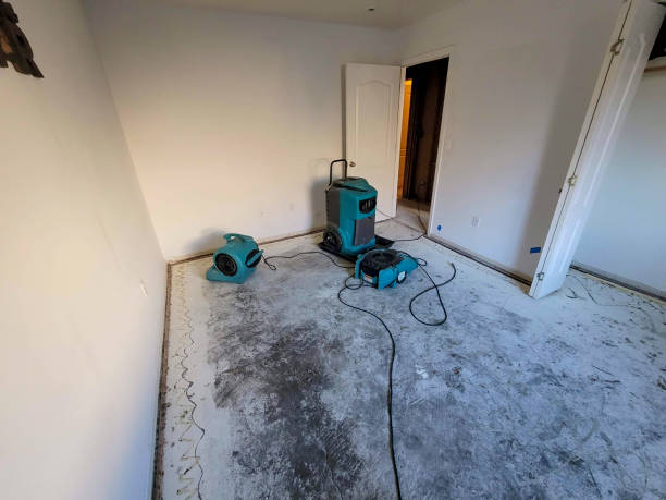Water damage restoration mold remediation in WA