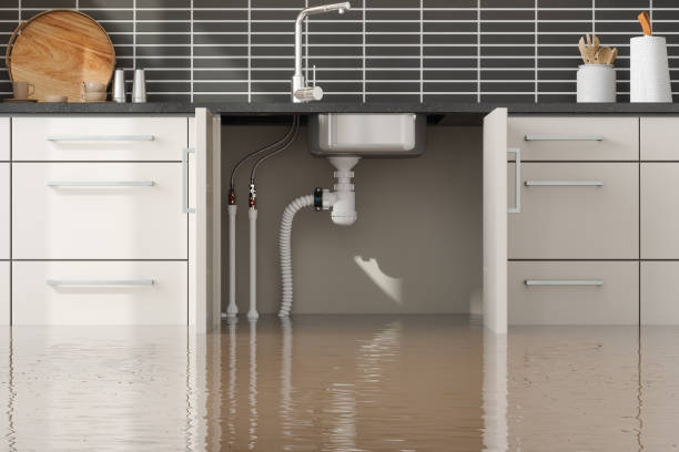 Best Ceiling water damage repair  in Vaughn, WA