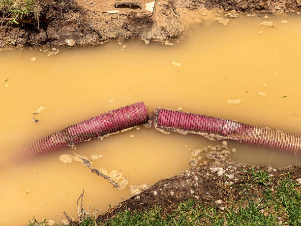 Best Emergency water extraction  in Vaughn, WA