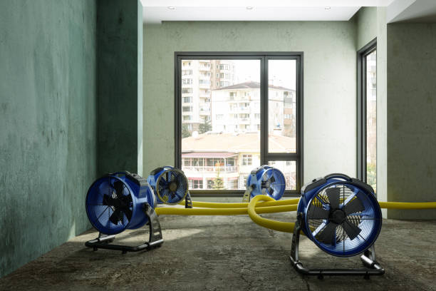 Best Water damage restoration mold remediation  in Vaughn, WA